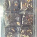 DHARMRAJ ANJIR CHIKKI 500GMS