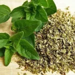 SPIHEM OREGANO LEAVES 70RS
