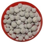 DILBAHAR ANARDANA GOLI 74RS