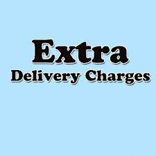 delivery charge extra